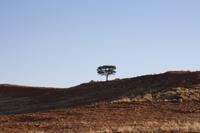 Namib-Naukluft-Nationalpark &ndash; &copy; Sylvia Sann (Eberhardt TRAVEL)