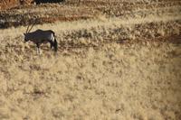Namib-Naukluft-Nationalpark &ndash; &copy; Sylvia Sann (Eberhardt TRAVEL)