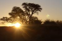 Namib-Naukluft-Nationalpark &ndash; &copy; Sylvia Sann (Eberhardt TRAVEL)
