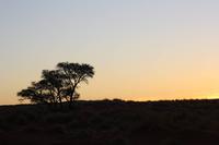 Namib-Naukluft-Nationalpark &ndash; &copy; Sylvia Sann (Eberhardt TRAVEL)