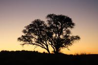Namibia &ndash; &copy; Sylvia Sann (Eberhardt TRAVEL)