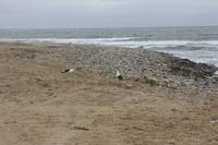 Swakopmund &ndash; &copy; Sylvia Sann (Eberhardt TRAVEL)