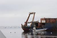 Muscheltanker &ndash; &copy; Sylvia Sann (Eberhardt TRAVEL)