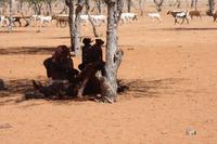 Bei den Himbas &ndash; &copy; Sylvia Sann (Eberhardt TRAVEL)