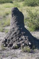 Etosha-Nationalpark &ndash; &copy; Sylvia Sann (Eberhardt TRAVEL)