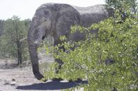Etosha-Nationalpark &ndash; &copy; Sylvia Sann (Eberhardt TRAVEL)