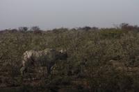 Etosha-Nationalpark &ndash; &copy; Sylvia Sann (Eberhardt TRAVEL)
