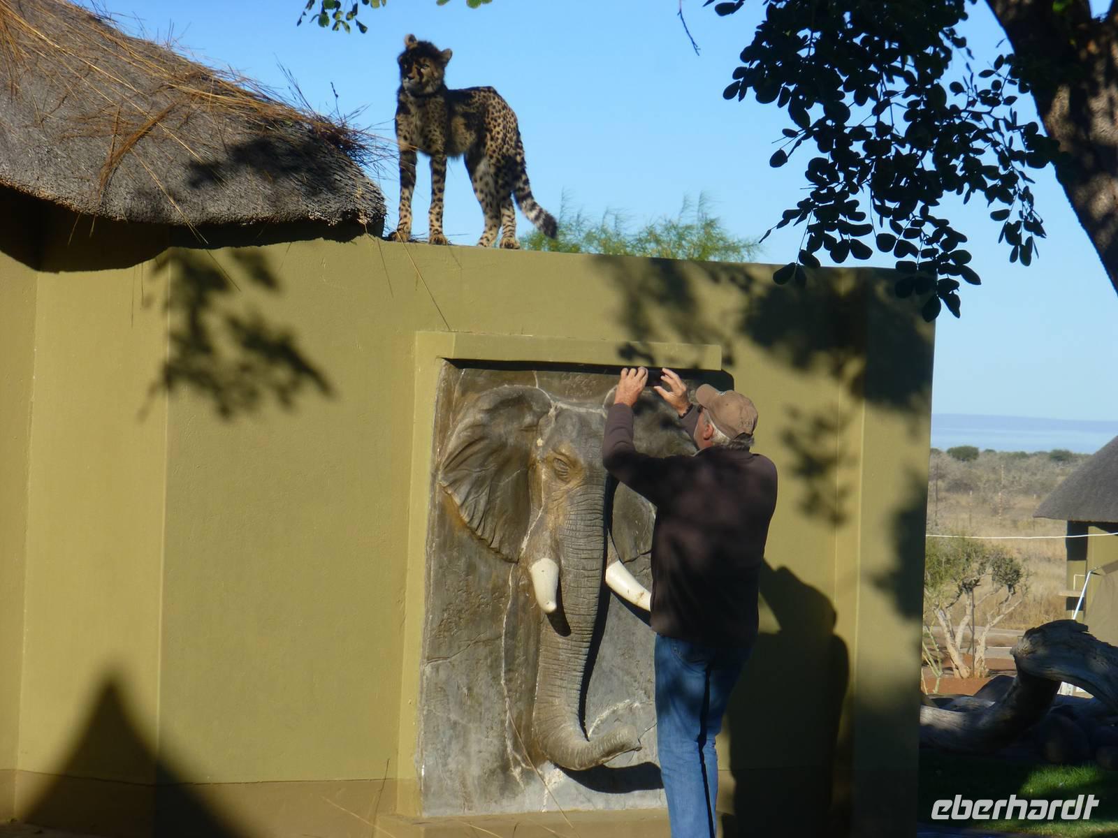 Lapa Lange Lodge &ndash; &copy; Kathrin Mickan (Eberhardt TRAVEL)