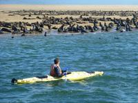Walvis Bay Robbenkolonie &ndash; &copy; Kathrin Mickan (Eberhardt TRAVEL)