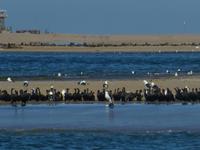 Walvis Bay &ndash; &copy; Kathrin Mickan (Eberhardt TRAVEL)