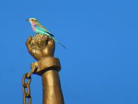 Windhoek &ndash; &copy; Kathrin Mickan (Eberhardt TRAVEL)