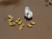 P1160294 &ndash; &copy; Kathrin Mickan (Eberhardt TRAVEL)