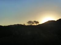Dabis 2 &ndash; &copy; Kathrin Mickan (Eberhardt TRAVEL)