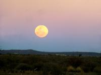Mond Kethmannshoop &ndash; &copy; Kathrin Mickan (Eberhardt TRAVEL)
