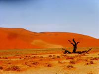 Namib 13 &ndash; &copy; Kathrin Mickan (Eberhardt TRAVEL)