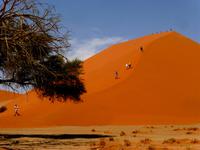 Namib 15 &ndash; &copy; Kathrin Mickan (Eberhardt TRAVEL)