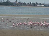 P1000103 &ndash; &copy; Kathrin Mickan (Eberhardt TRAVEL)
