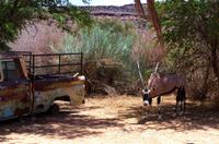 Pause im Canon Roadhouse - Oryx &ndash; &copy; Annett Müller (Eberhardt TRAVEL)