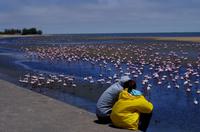 Lagune von Walvis Bay &ndash; &copy; Annett Müller (Eberhardt TRAVEL)