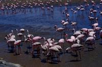 _IMG7379 &ndash; &copy; Annett Müller (Eberhardt TRAVEL)