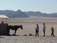 Tage Rundreise Namibia – Die Erlebnistour mit  Kalahari – Fish River-Canyon – Lüderitz – Namib – Swakopmund – Erongo Gebirge – Etosha Nationalpark – Windhoek (111) &ndash; &copy; Benjamin Rodriguez Manzanares (Eberhardt TRAVEL)