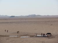 Tage Rundreise Namibia – Die Erlebnistour mit  Kalahari – Fish River-Canyon – Lüderitz – Namib – Swakopmund – Erongo Gebirge – Etosha Nationalpark – Windhoek (120) &ndash; &copy; Benjamin Rodriguez Manzanares (Eberhardt TRAVEL)