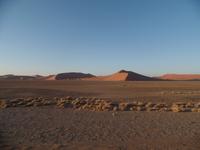 Tage Rundreise Namibia – Die Erlebnistour mit  Kalahari – Fish River-Canyon – Lüderitz – Namib – Swakopmund – Erongo Gebirge – Etosha Nationalpark – Windhoek (236) &ndash; &copy; Benjamin Rodriguez Manzanares (Eberhardt TRAVEL)