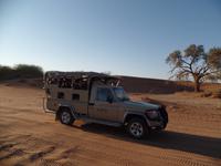 Tage Rundreise Namibia – Die Erlebnistour mit  Kalahari – Fish River-Canyon – Lüderitz – Namib – Swakopmund – Erongo Gebirge – Etosha Nationalpark – Windhoek (245) &ndash; &copy; Benjamin Rodriguez Manzanares (Eberhardt TRAVEL)