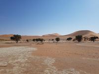 Tage Rundreise Namibia – Die Erlebnistour mit  Kalahari – Fish River-Canyon – Lüderitz – Namib – Swakopmund – Erongo Gebirge – Etosha Nationalpark – Windhoek (288) &ndash; &copy; Benjamin Rodriguez Manzanares (Eberhardt TRAVEL)