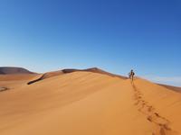 Tage Rundreise Namibia – Die Erlebnistour mit  Kalahari – Fish River-Canyon – Lüderitz – Namib – Swakopmund – Erongo Gebirge – Etosha Nationalpark – Windhoek (337) &ndash; &copy; Benjamin Rodriguez Manzanares (Eberhardt TRAVEL)