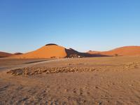 Tage Rundreise Namibia – Die Erlebnistour mit  Kalahari – Fish River-Canyon – Lüderitz – Namib – Swakopmund – Erongo Gebirge – Etosha Nationalpark – Windhoek (399) &ndash; &copy; Benjamin Rodriguez Manzanares (Eberhardt TRAVEL)
