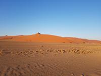 Tage Rundreise Namibia – Die Erlebnistour mit  Kalahari – Fish River-Canyon – Lüderitz – Namib – Swakopmund – Erongo Gebirge – Etosha Nationalpark – Windhoek (407) &ndash; &copy; Benjamin Rodriguez Manzanares (Eberhardt TRAVEL)