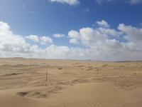 Tage Rundreise Namibia – Die Erlebnistour mit  Kalahari – Fish River-Canyon – Lüderitz – Namib – Swakopmund – Erongo Gebirge – Etosha Nationalpark – Windhoek (464) &ndash; &copy; Benjamin Rodriguez Manzanares (Eberhardt TRAVEL)