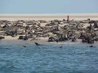 Tage Rundreise Namibia – Die Erlebnistour mit  Kalahari – Fish River-Canyon – Lüderitz – Namib – Swakopmund – Erongo Gebirge – Etosha Nationalpark – Windhoek (664) &ndash; &copy; Benjamin Rodriguez Manzanares (Eberhardt TRAVEL)