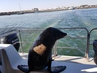 Tage Rundreise Namibia – Die Erlebnistour mit  Kalahari – Fish River-Canyon – Lüderitz – Namib – Swakopmund – Erongo Gebirge – Etosha Nationalpark – Windhoek (913) &ndash; &copy; Benjamin Rodriguez Manzanares (Eberhardt TRAVEL)