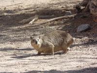 Tage Rundreise Namibia – Die Erlebnistour mit  Kalahari – Fish River-Canyon – Lüderitz – Namib – Swakopmund – Erongo Gebirge – Etosha Nationalpark – Windhoek (938) &ndash; &copy; Benjamin Rodriguez Manzanares (Eberhardt TRAVEL)