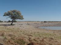 Tage Rundreise Namibia – Die Erlebnistour mit  Kalahari – Fish River-Canyon – Lüderitz – Namib – Swakopmund – Erongo Gebirge – Etosha Nationalpark – Windhoek (1027) &ndash; &copy; Benjamin Rodriguez Manzanares (Eberhardt TRAVEL)