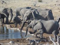 Tage Rundreise Namibia – Die Erlebnistour mit  Kalahari – Fish River-Canyon – Lüderitz – Namib – Swakopmund – Erongo Gebirge – Etosha Nationalpark – Windhoek (1062) &ndash; &copy; Benjamin Rodriguez Manzanares (Eberhardt TRAVEL)
