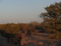 Tage Rundreise Namibia – Die Erlebnistour mit  Kalahari – Fish River-Canyon – Lüderitz – Namib – Swakopmund – Erongo Gebirge – Etosha Nationalpark – Windhoek (1086) &ndash; &copy; Benjamin Rodriguez Manzanares (Eberhardt TRAVEL)