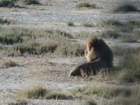 Tage Rundreise Namibia – Die Erlebnistour mit  Kalahari – Fish River-Canyon – Lüderitz – Namib – Swakopmund – Erongo Gebirge – Etosha Nationalpark – Windhoek (1119) &ndash; &copy; Benjamin Rodriguez Manzanares (Eberhardt TRAVEL)