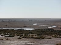 Tage Rundreise Namibia – Die Erlebnistour mit  Kalahari – Fish River-Canyon – Lüderitz – Namib – Swakopmund – Erongo Gebirge – Etosha Nationalpark – Windhoek (1133) &ndash; &copy; Benjamin Rodriguez Manzanares (Eberhardt TRAVEL)