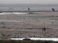 Tage Rundreise Namibia – Die Erlebnistour mit  Kalahari – Fish River-Canyon – Lüderitz – Namib – Swakopmund – Erongo Gebirge – Etosha Nationalpark – Windhoek (1135) &ndash; &copy; Benjamin Rodriguez Manzanares (Eberhardt TRAVEL)
