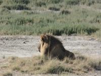 Tage Rundreise Namibia – Die Erlebnistour mit  Kalahari – Fish River-Canyon – Lüderitz – Namib – Swakopmund – Erongo Gebirge – Etosha Nationalpark – Windhoek (1143) &ndash; &copy; Benjamin Rodriguez Manzanares (Eberhardt TRAVEL)