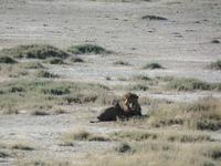 Tage Rundreise Namibia – Die Erlebnistour mit  Kalahari – Fish River-Canyon – Lüderitz – Namib – Swakopmund – Erongo Gebirge – Etosha Nationalpark – Windhoek (1151) &ndash; &copy; Benjamin Rodriguez Manzanares (Eberhardt TRAVEL)