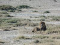 Tage Rundreise Namibia – Die Erlebnistour mit  Kalahari – Fish River-Canyon – Lüderitz – Namib – Swakopmund – Erongo Gebirge – Etosha Nationalpark – Windhoek (1155) &ndash; &copy; Benjamin Rodriguez Manzanares (Eberhardt TRAVEL)