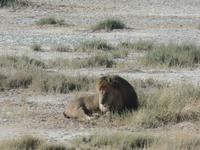 Tage Rundreise Namibia – Die Erlebnistour mit  Kalahari – Fish River-Canyon – Lüderitz – Namib – Swakopmund – Erongo Gebirge – Etosha Nationalpark – Windhoek (1183) &ndash; &copy; Benjamin Rodriguez Manzanares (Eberhardt TRAVEL)