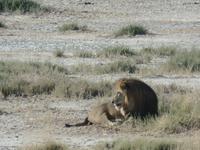 Tage Rundreise Namibia – Die Erlebnistour mit  Kalahari – Fish River-Canyon – Lüderitz – Namib – Swakopmund – Erongo Gebirge – Etosha Nationalpark – Windhoek (1190) &ndash; &copy; Benjamin Rodriguez Manzanares (Eberhardt TRAVEL)