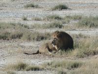 Tage Rundreise Namibia – Die Erlebnistour mit  Kalahari – Fish River-Canyon – Lüderitz – Namib – Swakopmund – Erongo Gebirge – Etosha Nationalpark – Windhoek (1192) &ndash; &copy; Benjamin Rodriguez Manzanares (Eberhardt TRAVEL)