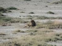 Tage Rundreise Namibia – Die Erlebnistour mit  Kalahari – Fish River-Canyon – Lüderitz – Namib – Swakopmund – Erongo Gebirge – Etosha Nationalpark – Windhoek (1199) &ndash; &copy; Benjamin Rodriguez Manzanares (Eberhardt TRAVEL)