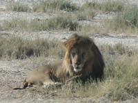 Tage Rundreise Namibia – Die Erlebnistour mit  Kalahari – Fish River-Canyon – Lüderitz – Namib – Swakopmund – Erongo Gebirge – Etosha Nationalpark – Windhoek (1227) &ndash; &copy; Benjamin Rodriguez Manzanares (Eberhardt TRAVEL)